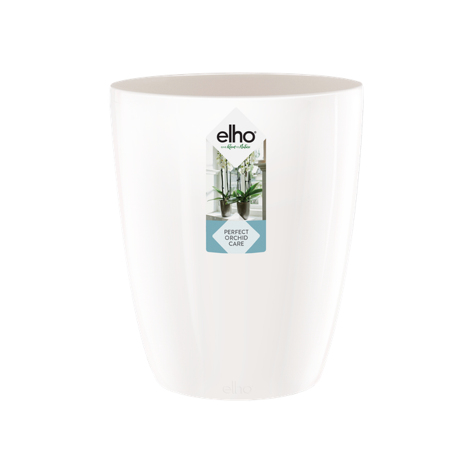 brussels diamond orchidee hoog 12,5cm wit